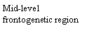 Text Box: Mid-level frontogenetic region