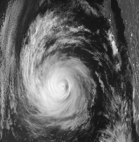 Hurricane Olivia NOAA-7 Visible Image