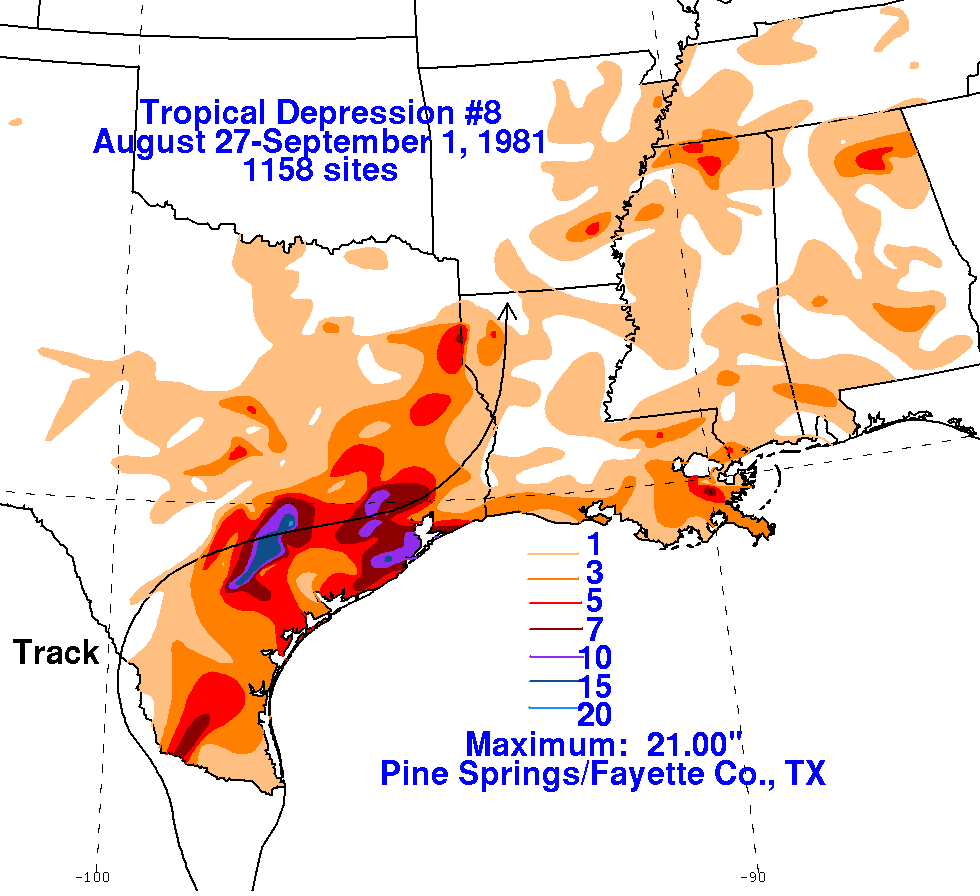Tropical Depression Eight (1981) Rainfall