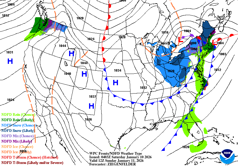 Day 7 image not available