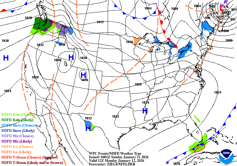 Day 7 image not available