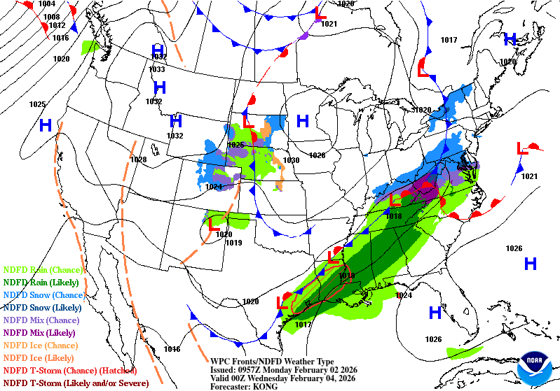 Day 7 image not available