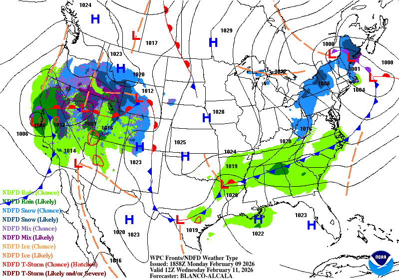 Day 7 image not available