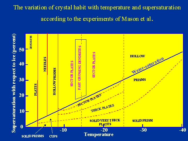 Slide 21